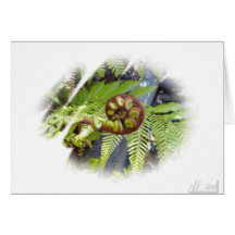 Card Fern in Frame
