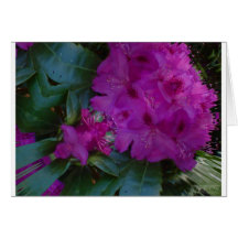 Card Flower abstract