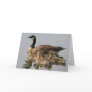 Card / Lesser Canada Goose Brood Greeting Card