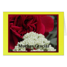Card: Muchas Gracias - Red Rose