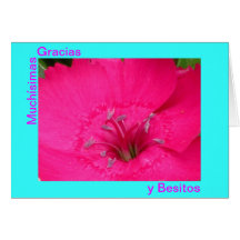 Card - Muchísimas Gracias y Besitos