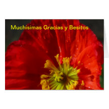 Card - Muchísimas Gracias y Besitos