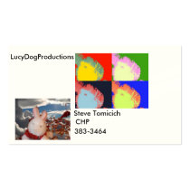 card of steve business card templates