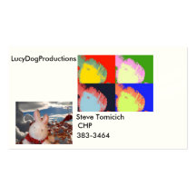 card of steve business card templates