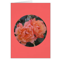 Card, "Orange Pink Roses in Circle" M-1