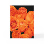 Card, Orange Roses, Vertical
