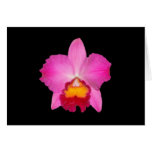 Card, pink cattleya. # 1781 copy
