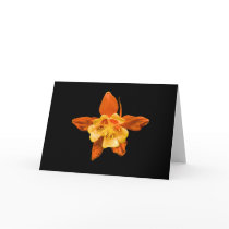 Card, Scarlet and Red Columbine Blossom # 2646