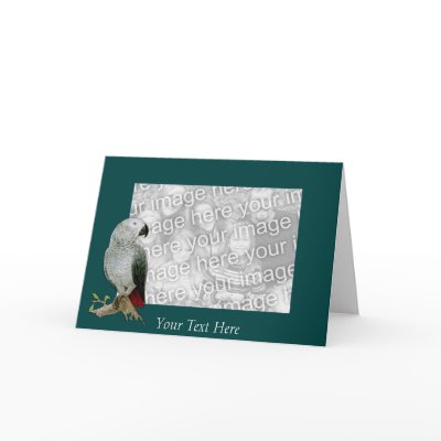 Card Template - African Grey Parrot by pawtraitart