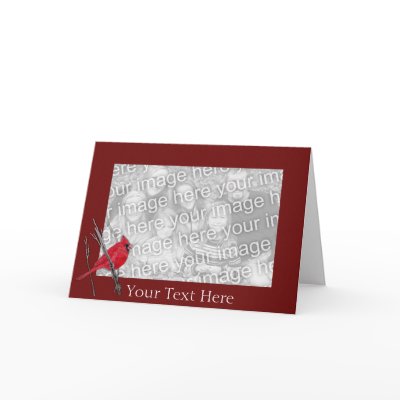 Card Template - Cardinal Bird by pawtraitart