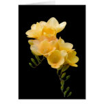 Card, Yellow Freesia # 1