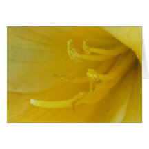Card - Yellowish-Green Flower - Multipurpose