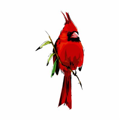 Cardan Cardinal Photo Cutout by BisforBirds