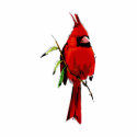 Cardan Cardinal photo sculptures