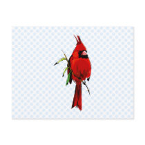 Cardan Cardinal Postcard