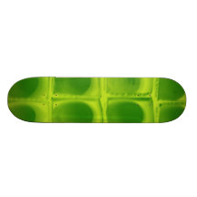 Cardboard Custom Skateboard