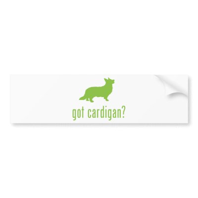 Cardigan Welsh Corgi by Pawdboy