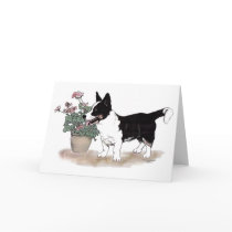 Cardigan Welsh Corgi Notecard  ~  Tricolor