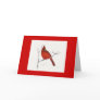 cardinal