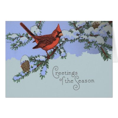 Cardinal by IdahoHistorical