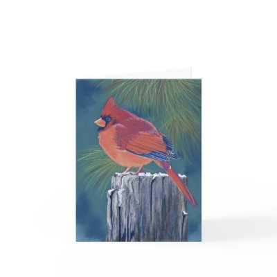 Cardinal by tracylteeter