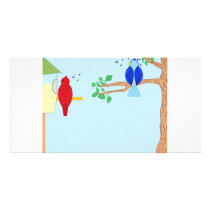 Cardinal and Bluebird Photo Cards