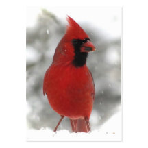 Cardinal ATC Business Card Template