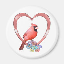 Cardinal au coeur aimants