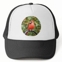 Cardinal Beauty Trucker Hat