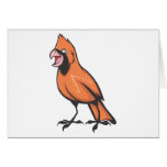 Cardinal Bird