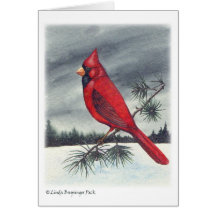Cardinal Bird Christmas