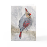 Cardinal Bird Christmas Greeting Card