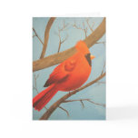 Cardinal Blank Note Card