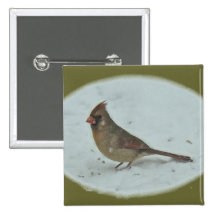 Cardinal (Cardinalis cardinalis) Female Songbird Pinback Button