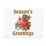 Cardinal Christmas Post Card