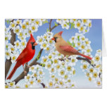 Cardinal Couple in Apple Blossoms Card
