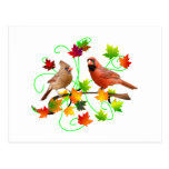 Cardinal Couple Post Cards