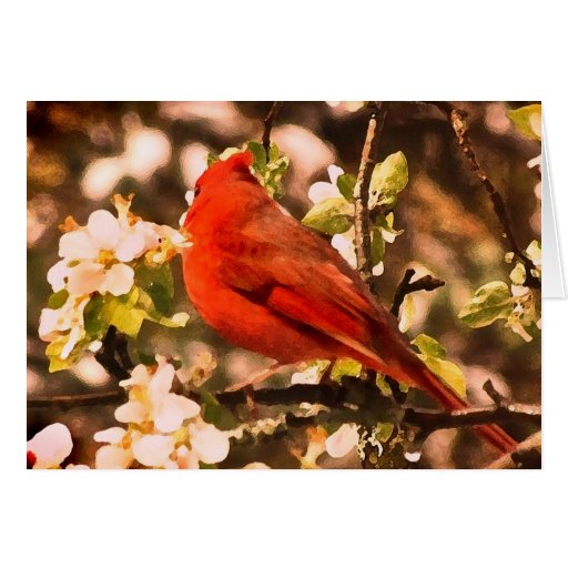 Cardinal dans le Merci de fleurs d'Apple Carte