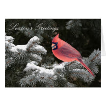 Cardinal de Noël Carte De Vœux