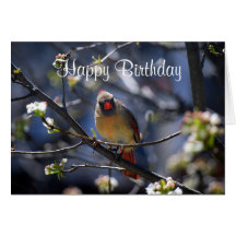 Cardinal féminin de joyeux anniversaire dans l'arb cartes