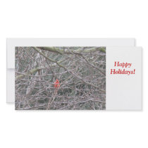 Cardinal - Happy Holidays! Photo Card Template