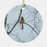 Cardinal in a Tree Ornament