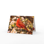 Cardinal in Apple Blossoms Birthday