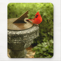 Cardinal in Central Park Mousepad