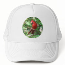 Cardinal in Holly Mesh Hats