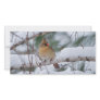 Cardinal in Snow Storm Picture Card