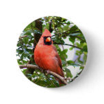 Cardinal in Tree buttons
