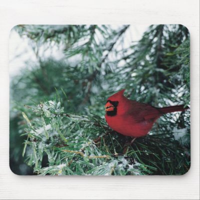 Cardinal in Tree Mouse Pad by clarachandler
