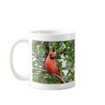 Cardinal in Tree Coffee Mugs