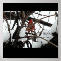 Cardinal_Isaiah 1_18, "viennent maintenant, et nou Posters